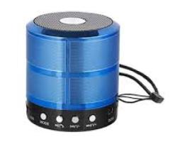 ROAR 48 W Bluetooth Speaker Price in Coimbatore